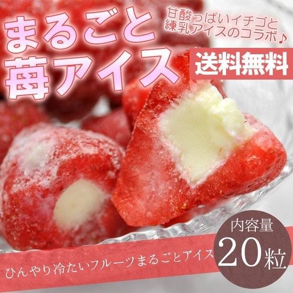 練乳いちごアイス（20粒） まるごと 苺 アイス イチゴ デザート 贈答 ギフト 贈り物(送料無料) ホワイトデー｜kodawarishokuhonpo｜02