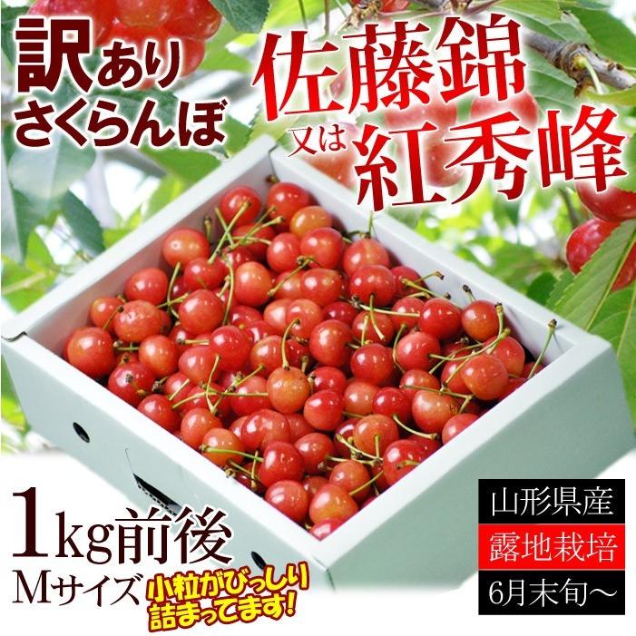 オープン記念セール 露地栽培 訳ありさくらんぼ佐藤錦又は紅秀峰約1kgｍサイズ 産地直送 取り寄せ 自宅用 バラ詰め サクランボ 山形産 送料無料 こだわり厳選食品館 通販 Paypayモール