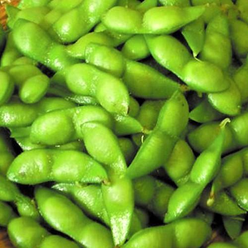 急速冷凍 山形県鶴岡産だだちゃ豆 1kg 500g 2袋 枝豆