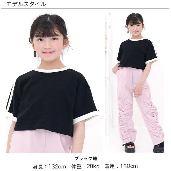 Bee des Bee 【浴衣・夏物TIMESALE】 クロップド丈ライントップス T