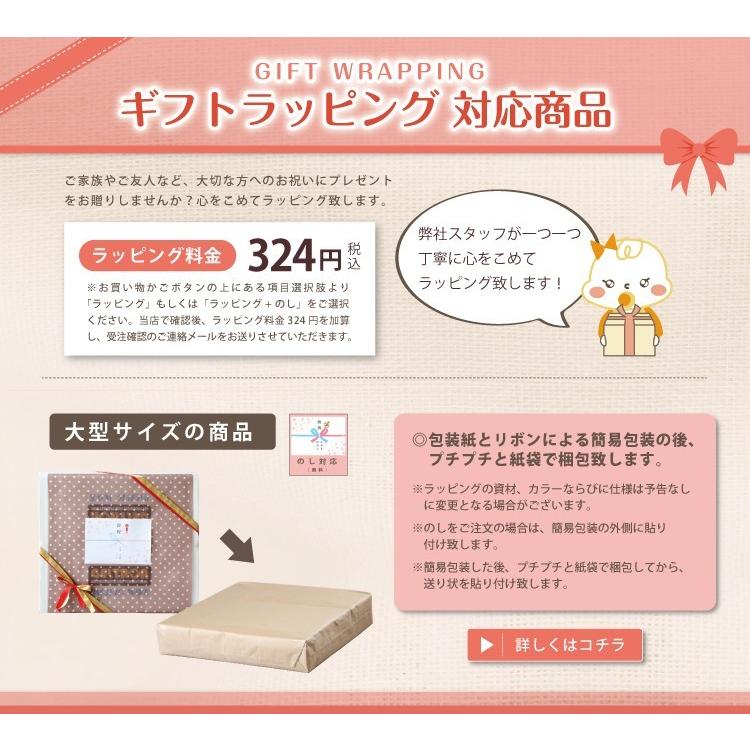 ユークリッドブロック 600ピース 収納木箱ケース付 知育玩具 木製 