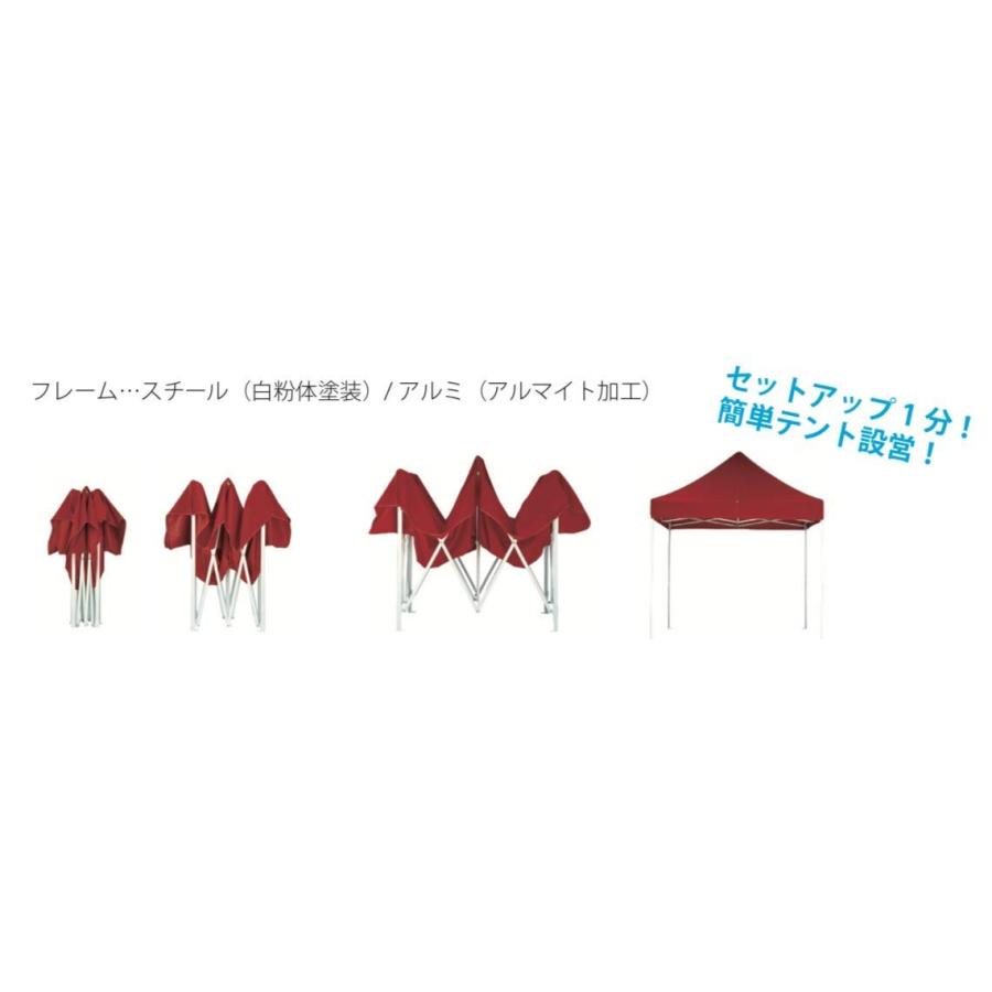 イージーアップテントデラックス　2.5m×2.5m　ブルー　組立１分　スチール　tent　収納も楽　保育学校用品