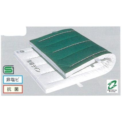 E221　体操用ノンスリップエコマット　オール合成スポンジコンビ　幅90長180厚6cm　ペットボトル再生帆布　SDGs非塩ビ　抗菌防臭　保育学校用品