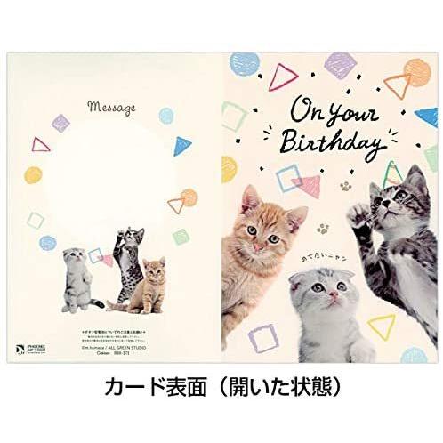 学研ステイフル メッセージカード 誕生日 ライト付き ミュージックカード ねこ B171 送料無料｜kodomozakkakodama｜02