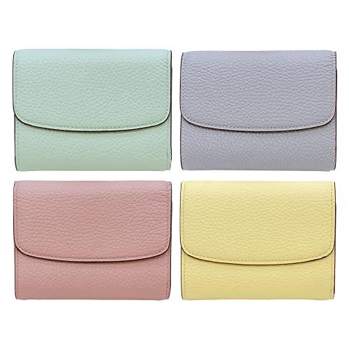 送関込 ブレイリオ システム 手帳 モルビド ミニ 5 11 mm イブ リット