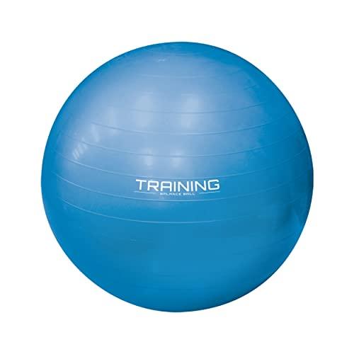 Appife バランスボール ブルー 空気入れ付属 直径約55cm 耐荷重約100kg 空気式 自宅用 大人 子供 女性 男性 エアー フィットネ S ココロオドル 通販 Yahoo ショッピング