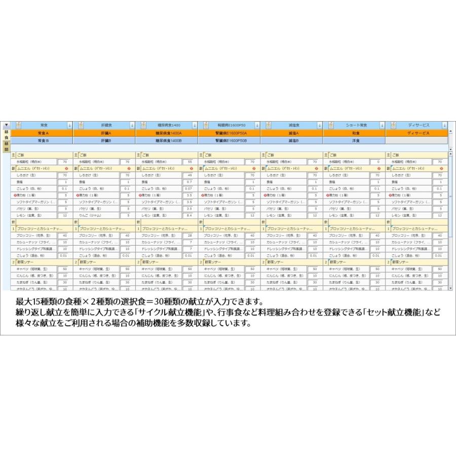 【栄養計算ソフト】EIBUN SmallLite Ver.2（産業給食版）_2