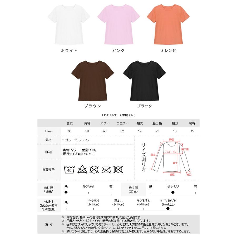 KOEISTORE（コウエイストア） Tシャツ レディース 半袖 カットソー 白