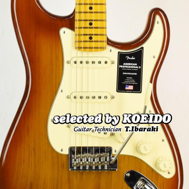 Fender American Professional2 Stratocaster MN Sienna Sunburst 