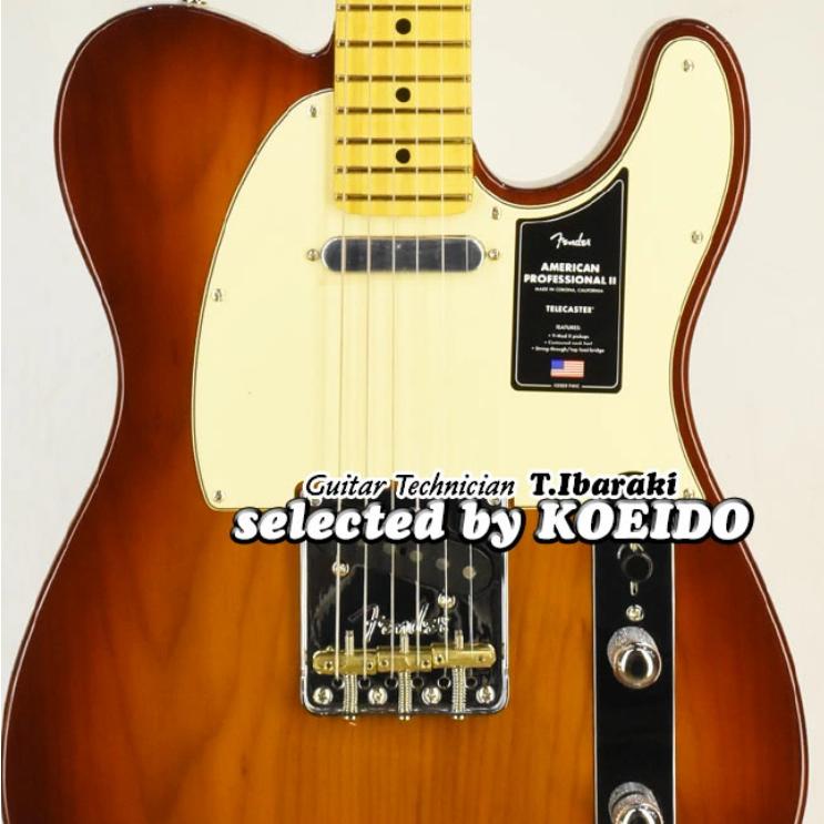 Fender American Professional2 Telecaster MN Sienna Sunburst