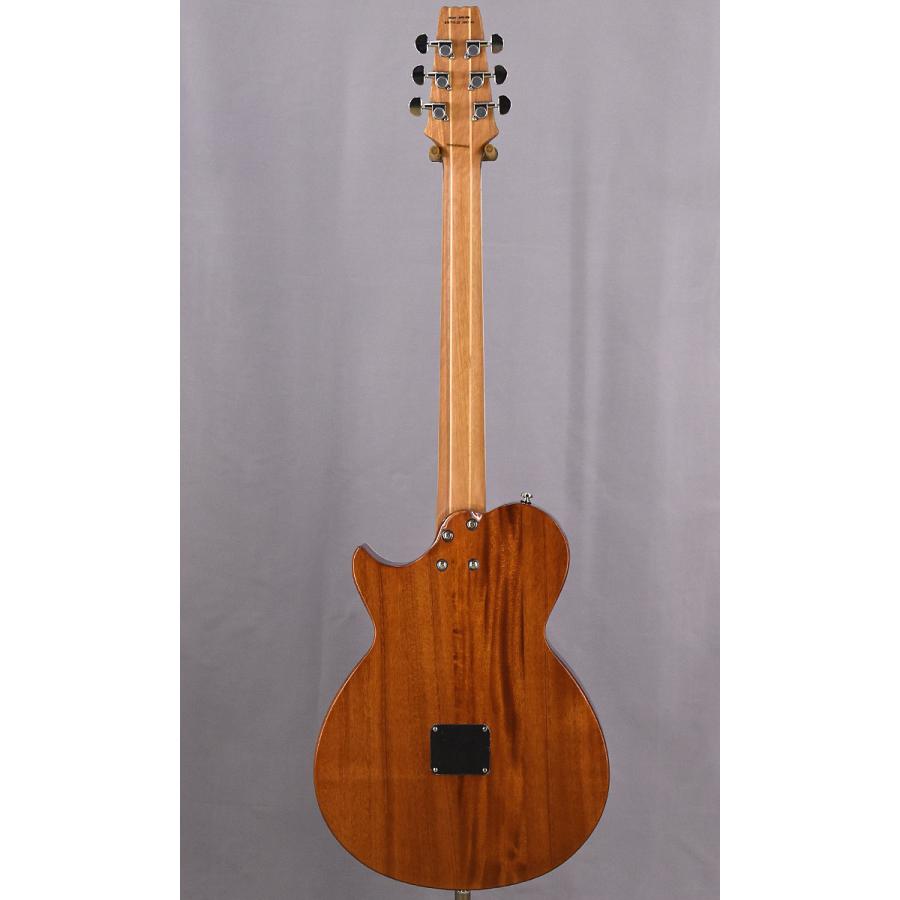 ARIA（アリア） Aria APE-100 N (スペア弦＆クリップチューナー付き