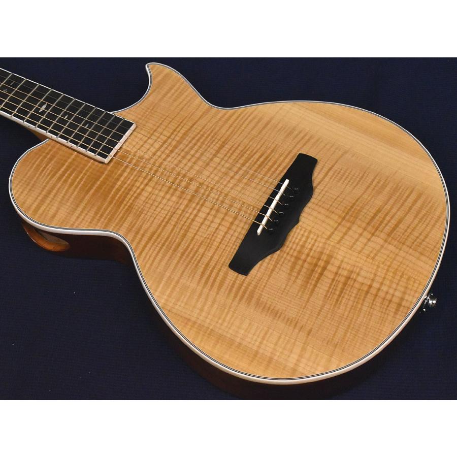 ARIA（楽器） Aria APE-100 N (スペア弦＆クリップチューナー付き