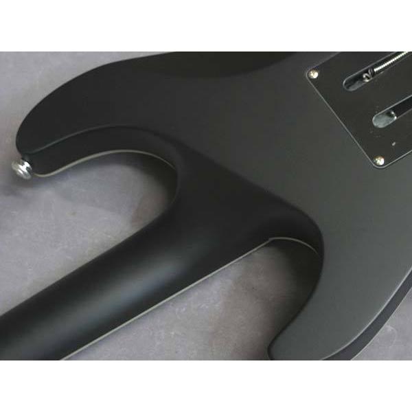 SCHECTER SCHECTER AD-DM-PTM-FR Damien Platinum-6FR SBK(スペア弦
