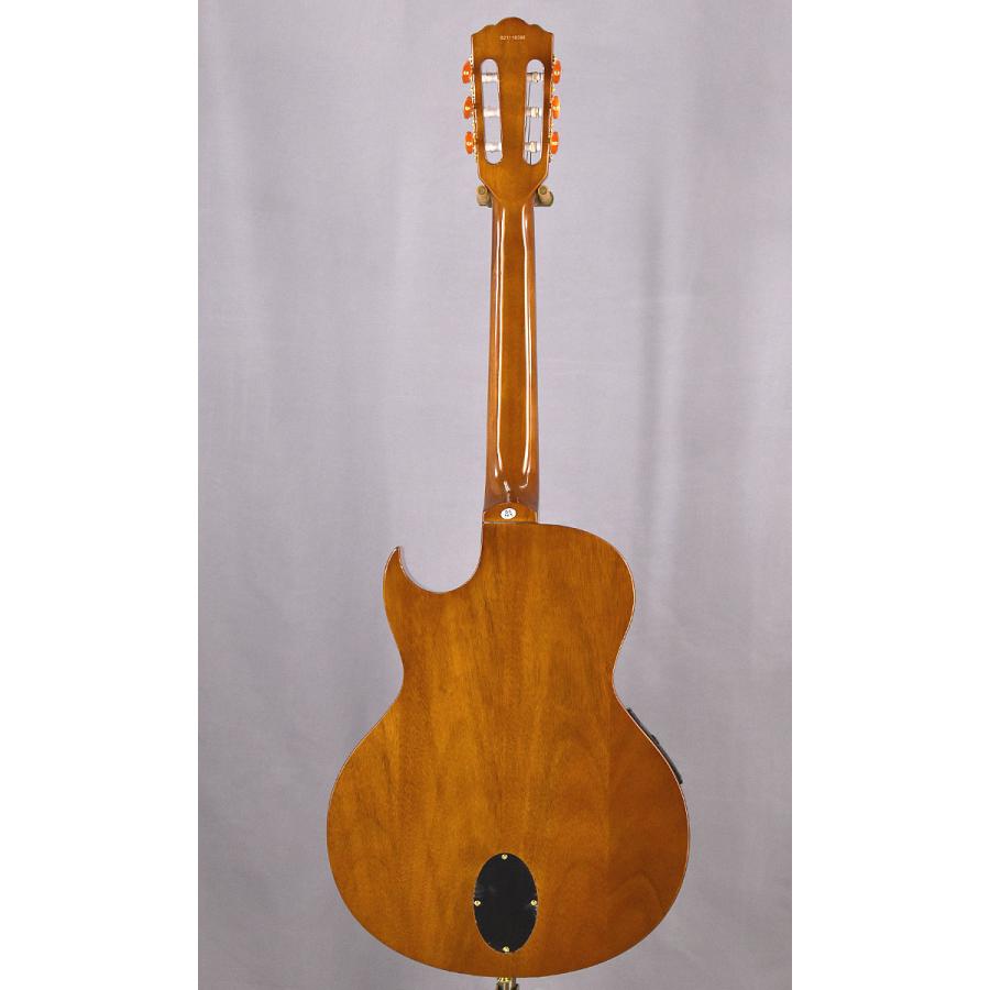 Washburn エレガット EACT42S Natural（スペア弦、ストラップサービス