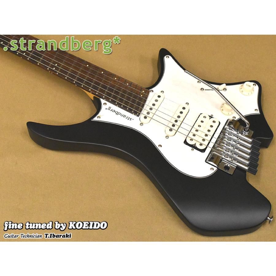 strandberg Boden Classic NX 6 Tremolo（Black Rosewood）（スペア弦
