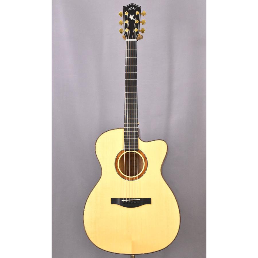Headway アコースティックギター Japan Tune-up Series HOC-NORTHBIRD