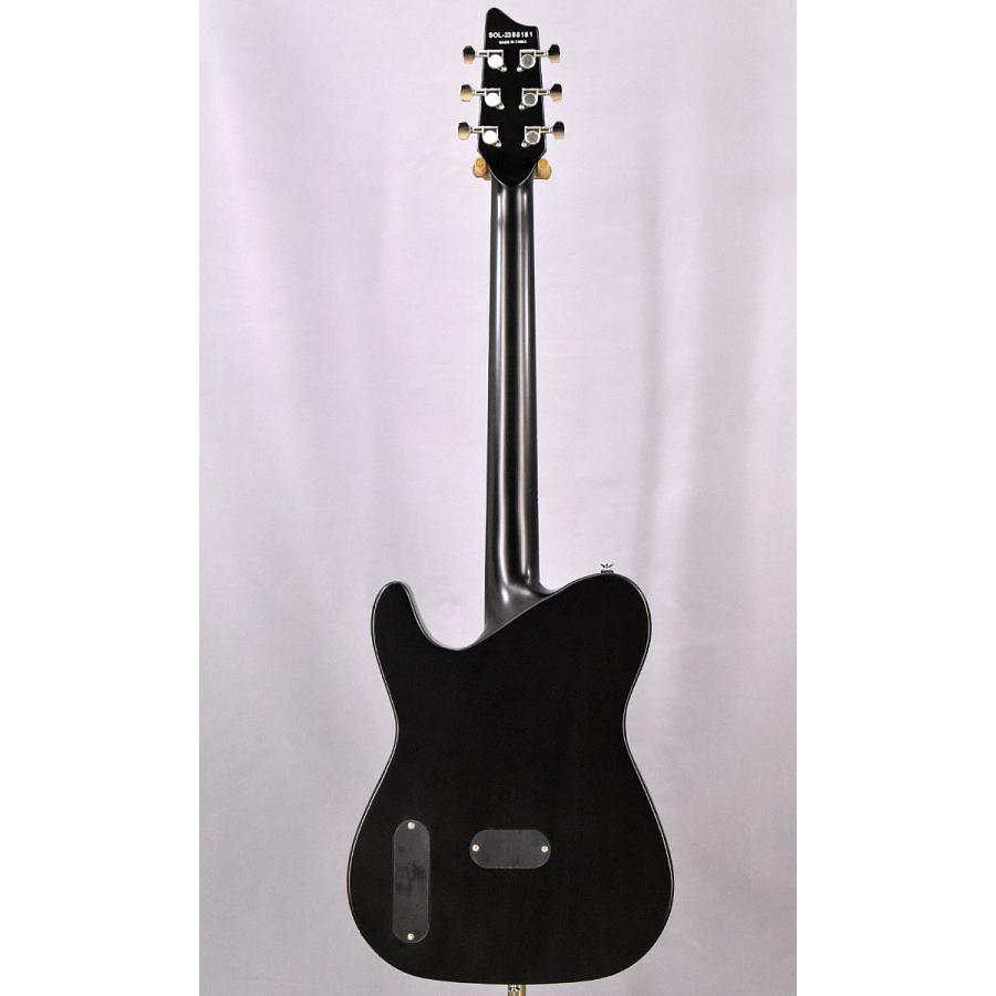 SCHECTER SCHECTER JOL OL-FL-P SNTL （スペア弦付き）シェクター