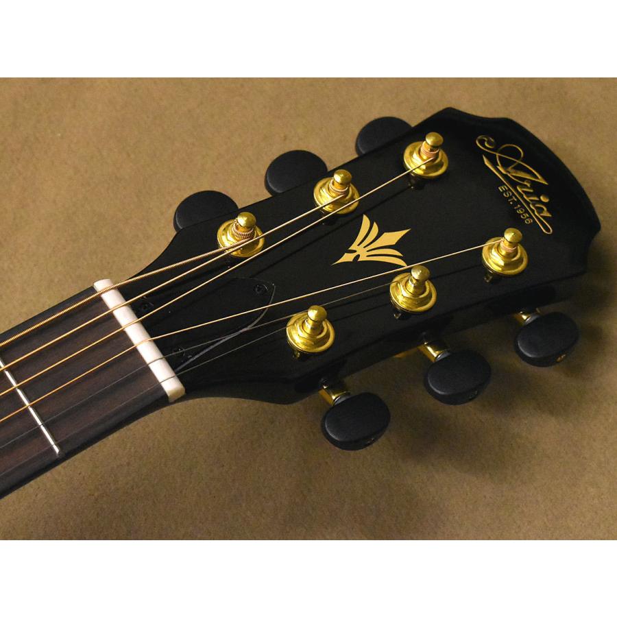 ARIA（楽器） Aria FET-F2 BnG (スペア弦付き) アリア