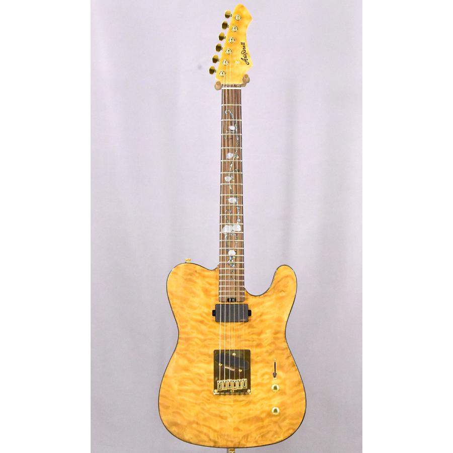 Aria Proll ProII TEG-780 N エレキギター （アウトレット特価）アリア