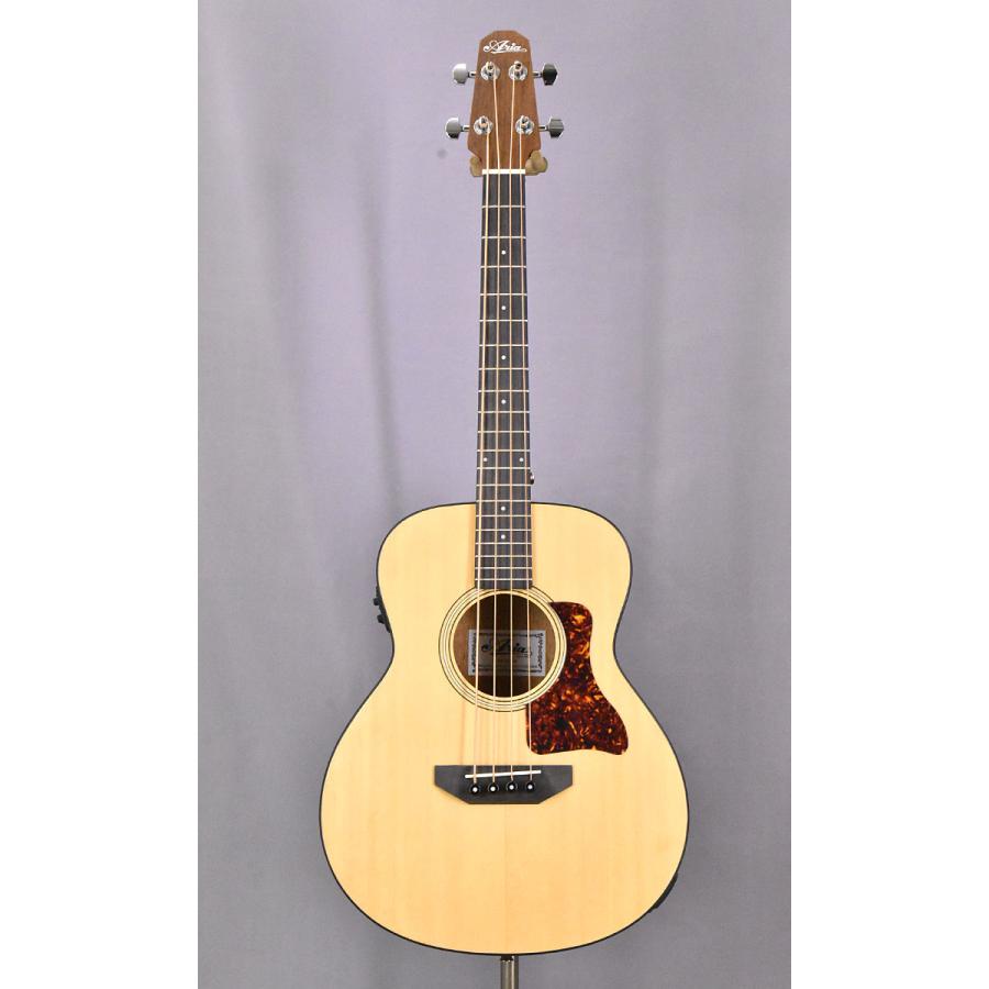 Aria Proll ABM-500 MTN ミニアコースティックベース アリア エレアコ 