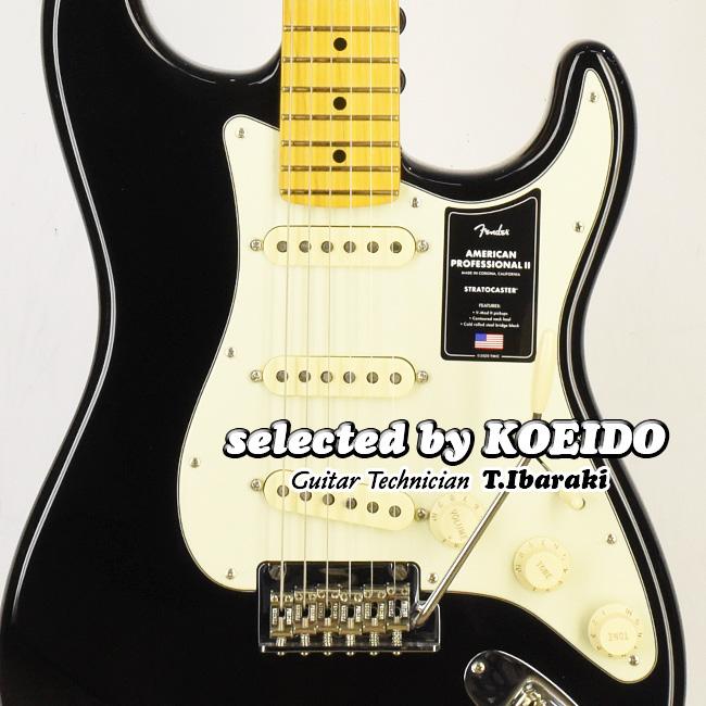Fender（フェンダー） Fender American Professional2 Stratocaster MN 