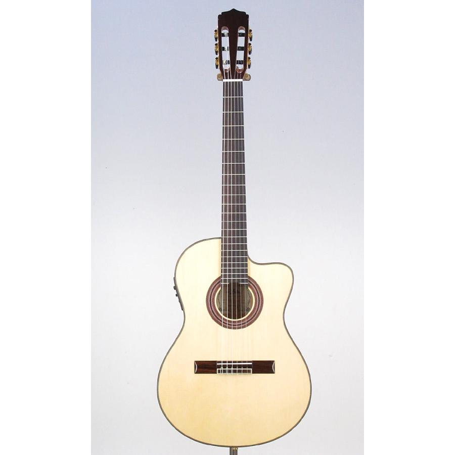 Aria A-48CE NA(スペア弦＆Aria CC-500クロス付き！) アリア