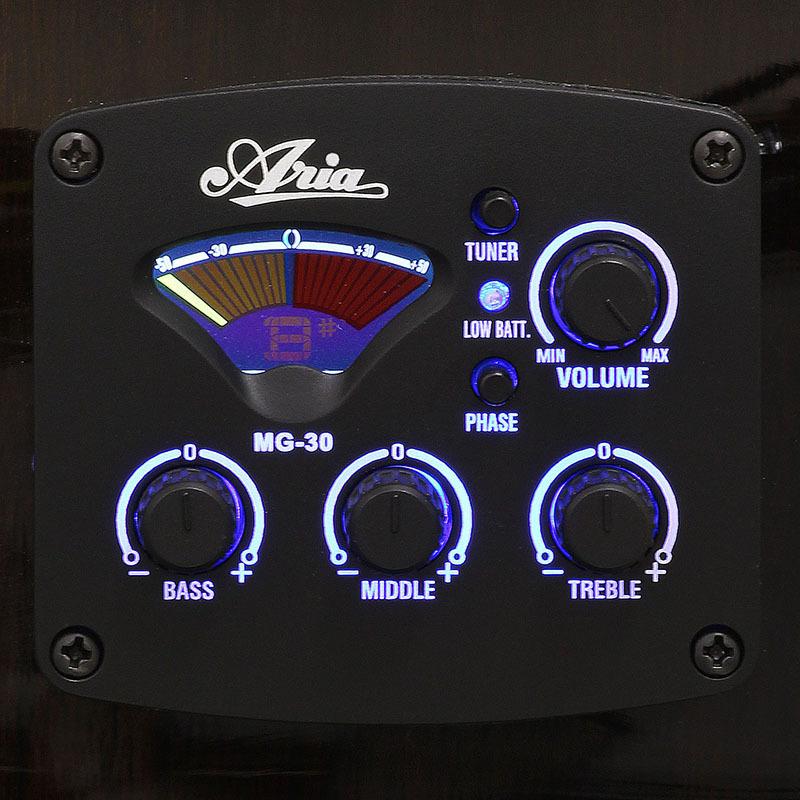 ARIA（楽器） Aria Dreadnought AF-105RWCE (スペア弦付き