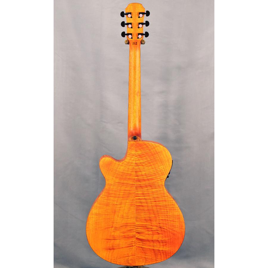 ARIA（アリア） Aria FET-F2 STBR (スペア弦付き) アコースティック