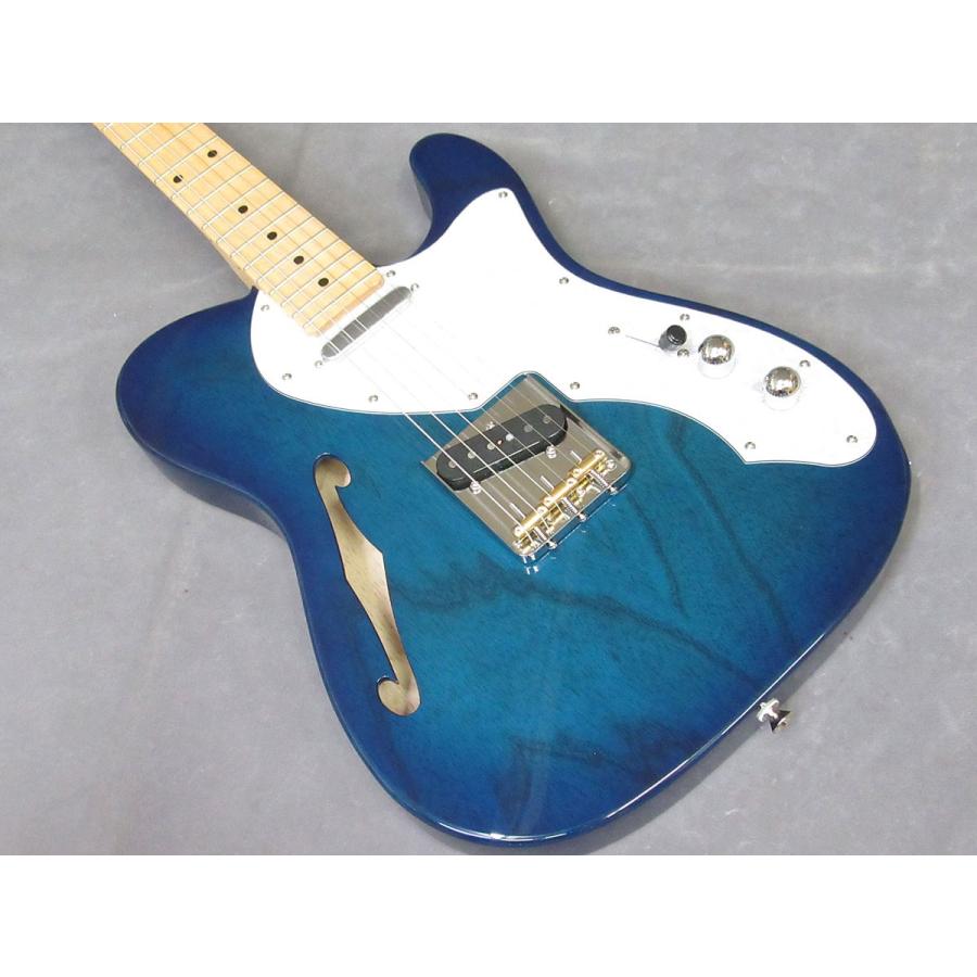 FUJIGEN（フジゲン） FUJIGEN/FgN Neo Classic NTL10MAHT SBB(Fine