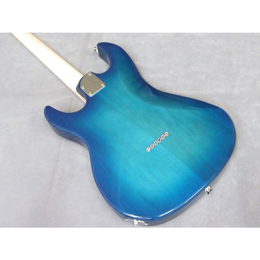 FUJIGEN（フジゲン） FUJIGEN/FgN Boundary ODYSSEY BOS2-M TBS(Fine