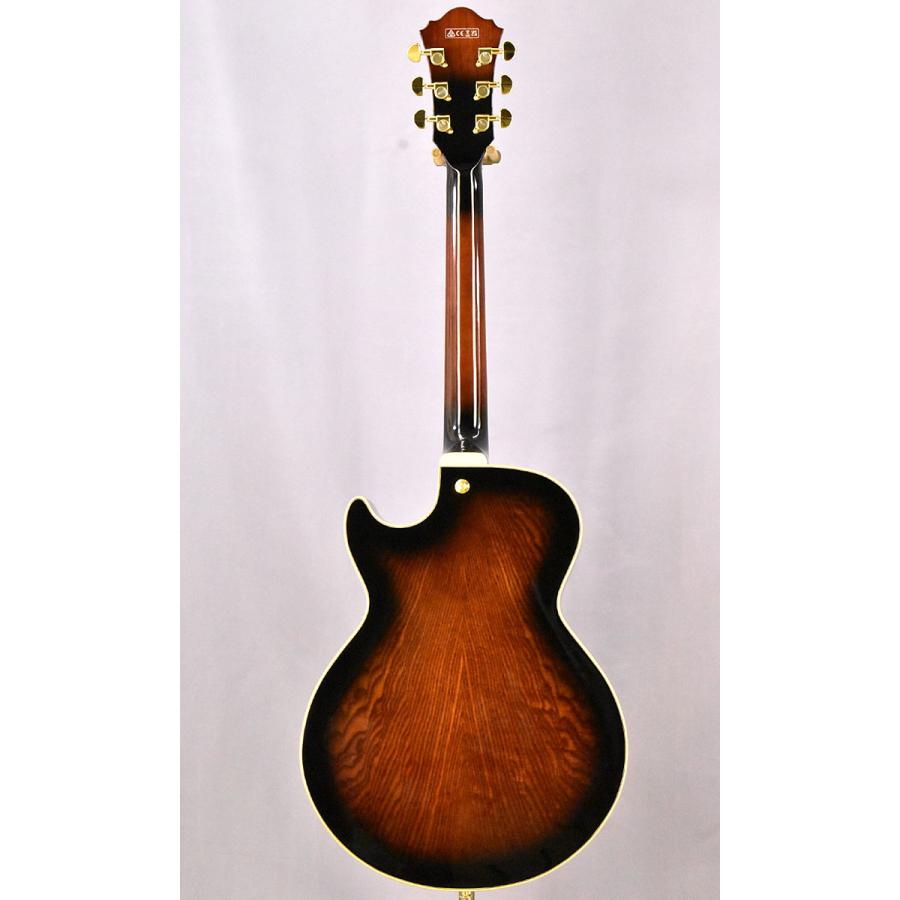 Ibanez（アイバニーズ） Ibanez AG95QA DBS (今ならIbanez SI10 