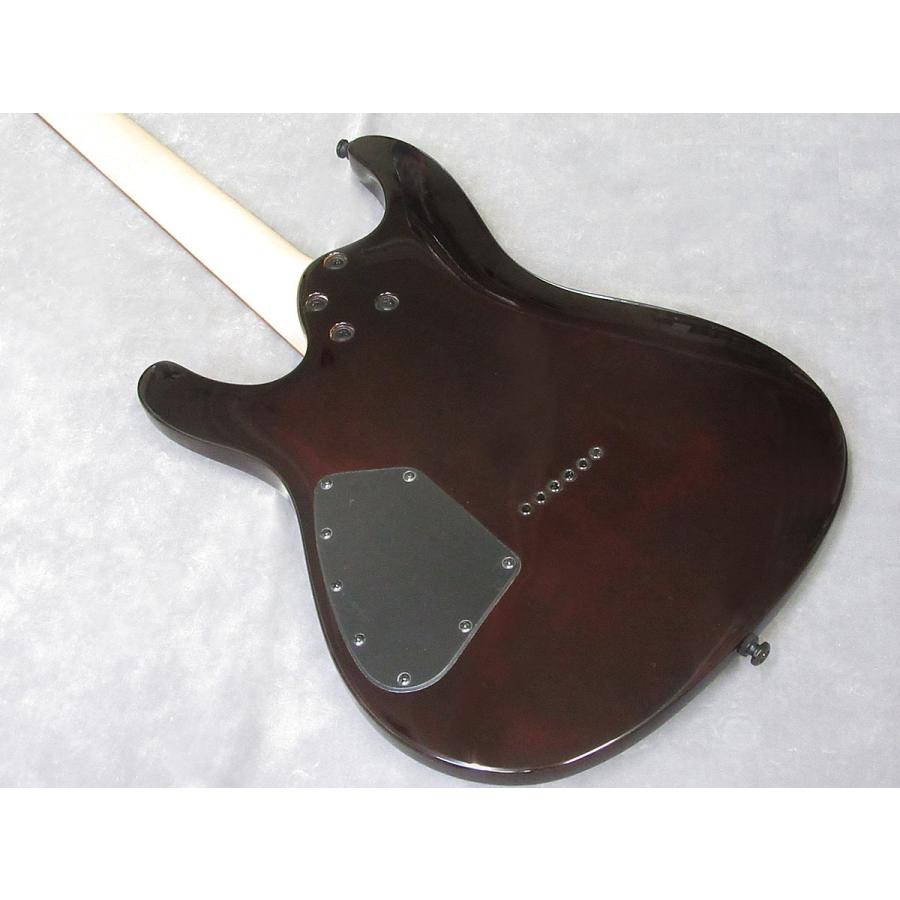 Ibanez（アイバニーズ） Ibanez S621QM DEB (今ならIbanez SI10