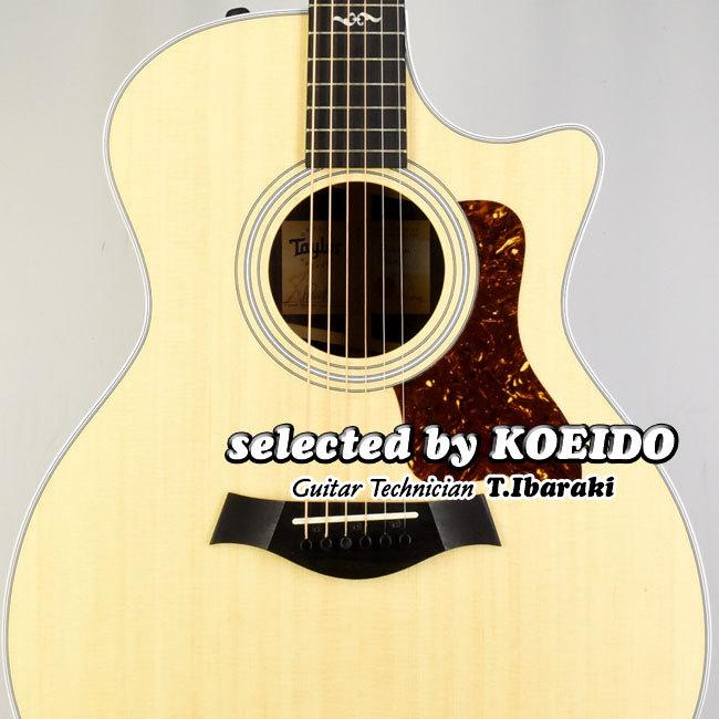 Taylor USA 414ce Rosewood V-Class (selected by KOEIDO) テイラー 
