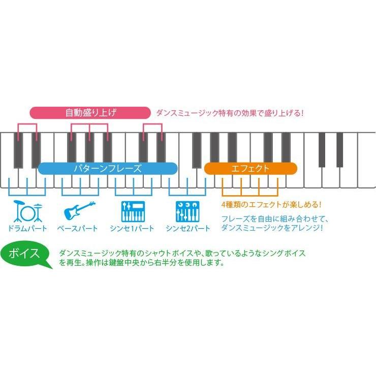 CASIO（カシオ） キーボード 電子ピアノ CASIO CT-S200（お手入れ