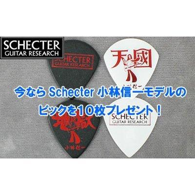 SCHECTER エレキギター AD-DM-PTM Damien Platinum-6 SBK SCHECTER エレキギター AD-DM-PTM Damien Platinum-6 SBK