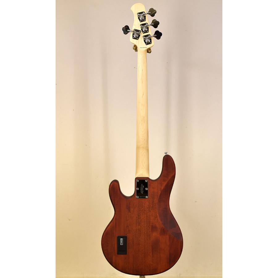 Music Man Sterling by MUSICMAN S.U.B Series RAY4 WS (アーニー