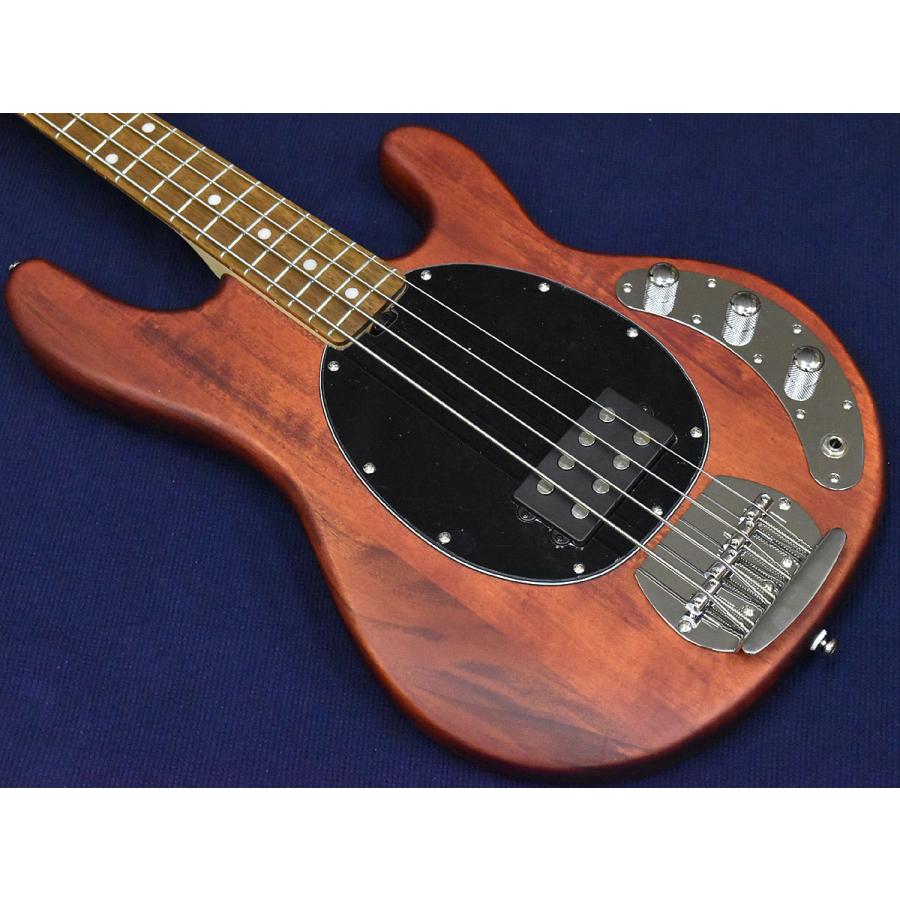 Music Man Sterling by MUSICMAN S.U.B Series RAY4 WS (アーニー