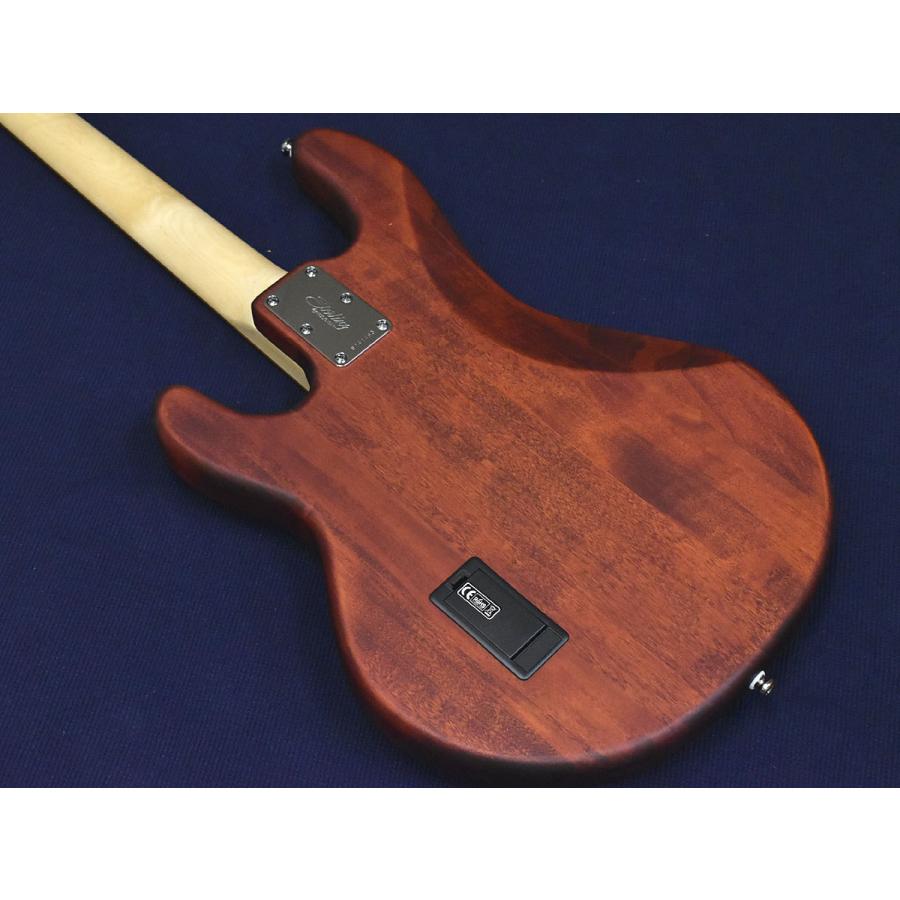 Music Man Sterling by MUSICMAN S.U.B Series RAY4 WS (アーニー