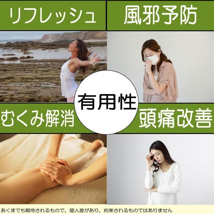 友達登録で400円0FF 特級鉄観音茶 90g 烏龍茶 台湾茶 中国茶