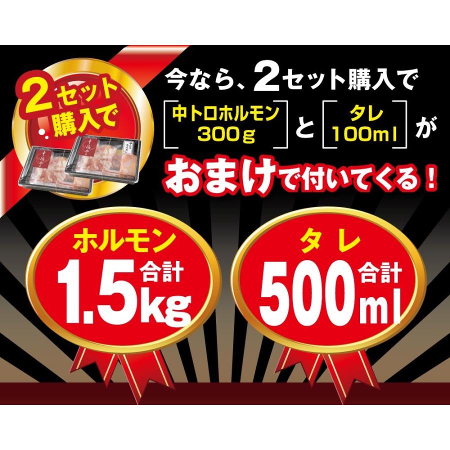 ホルモン 焼肉 BBQ 焼き肉 肉 ホルモン焼き お取り寄せグルメ 牛肉 中トロ ホルモン 600g(５〜6人前)｜kofukutei｜02