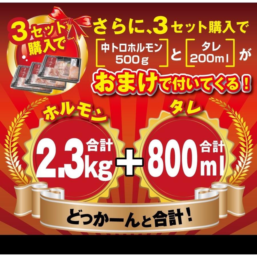 ホルモン 焼肉 BBQ 焼き肉 肉 ホルモン焼き お取り寄せグルメ 牛肉 中トロ ホルモン 600g(５〜6人前)｜kofukutei｜18