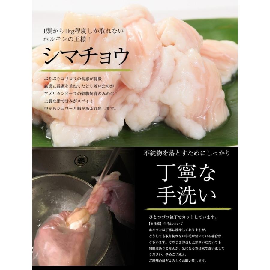 ホルモン 焼肉 BBQ 焼き肉 肉 ホルモン焼き お取り寄せグルメ 牛肉 中トロ ホルモン 600g(５〜6人前)｜kofukutei｜10