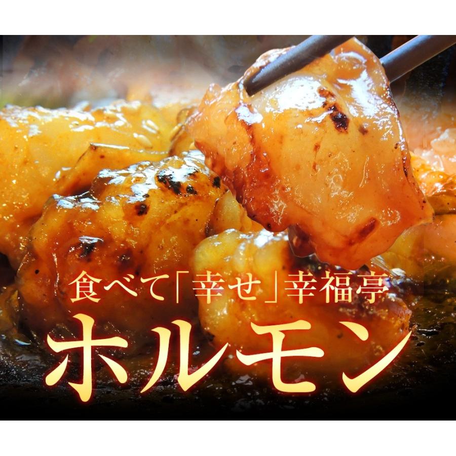 ホルモン 焼肉 ホルモン焼き お取り寄せグルメ ギフト BBQ  肉 牛肉 牛ホルモン  国産大トロ ホルモン 600g  味噌味｜kofukutei｜16