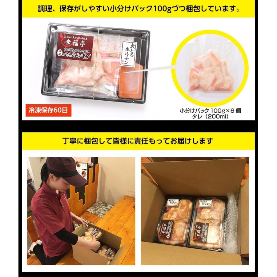 ホルモン 焼肉 ホルモン焼き お取り寄せグルメ ギフト BBQ  肉 牛肉 牛ホルモン  国産大トロ ホルモン 600g  味噌味｜kofukutei｜19