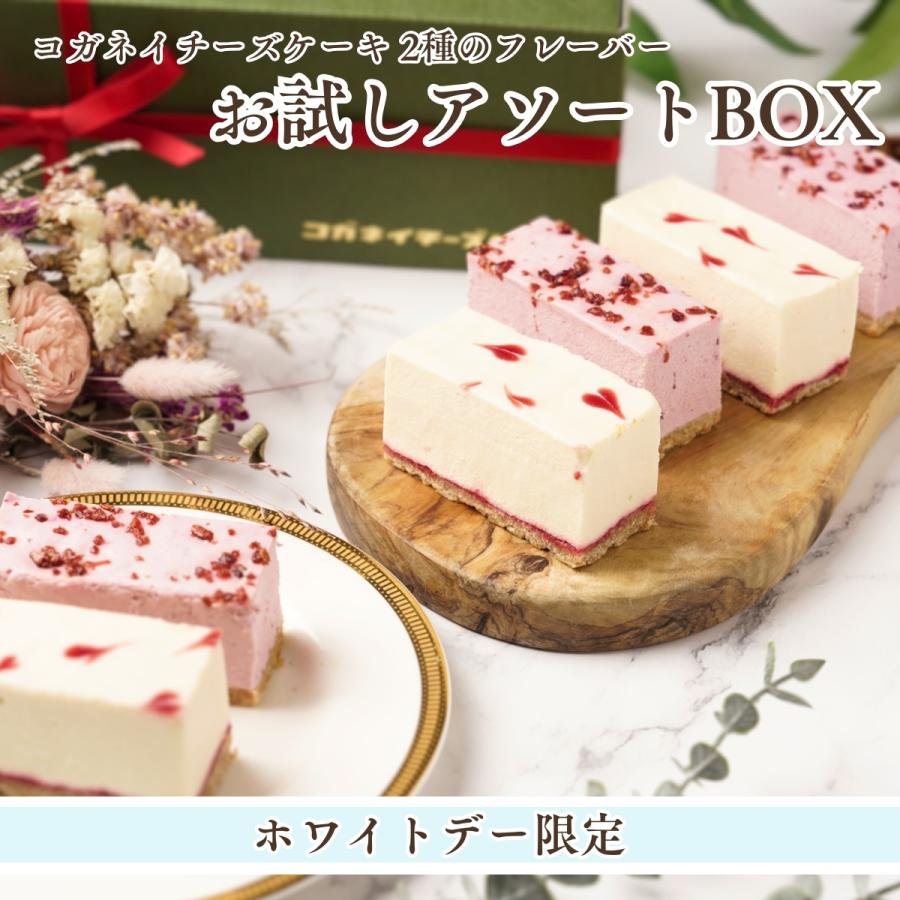 ホワイトデー 2025 お中元【ホワイトデー限定 Wベリーのチーズケーキ 6 