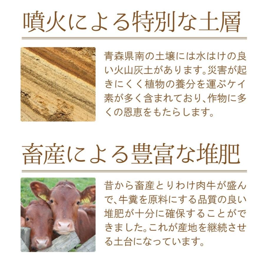 青森産 にんにく 1kg 送料無料 送料発生 |  | 02