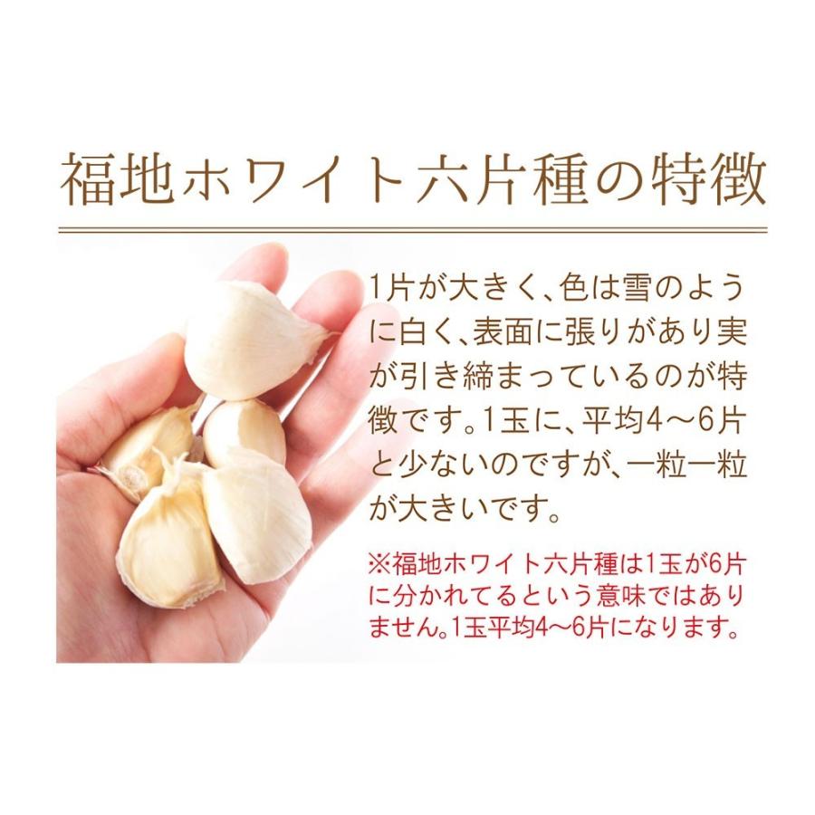 青森産 にんにく 1kg 送料無料 送料発生 |  | 04