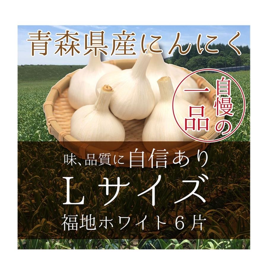 青森産 にんにく 1kg 送料無料 送料発生 |  | 05