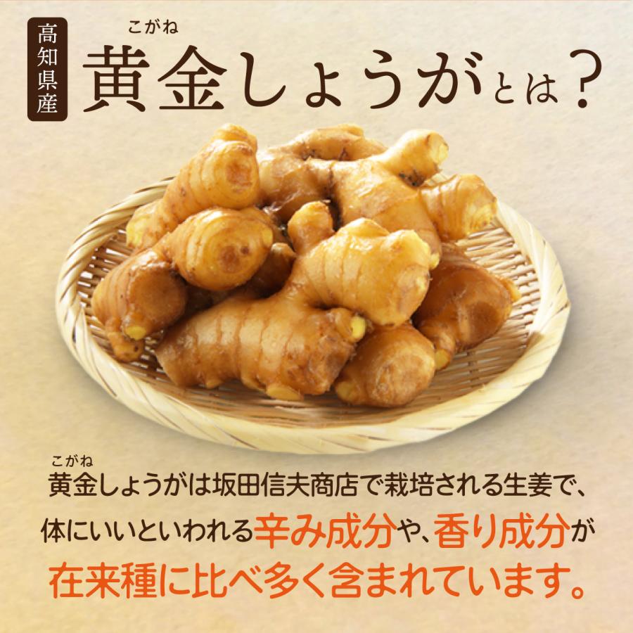 高知産黄金しょうが100% しょうが粉末 50g 送料無料 国産100％ ジンジャー パウダー 乾燥生姜 黄金生姜 坂田信夫商店 | 坂田信夫商店 | 10