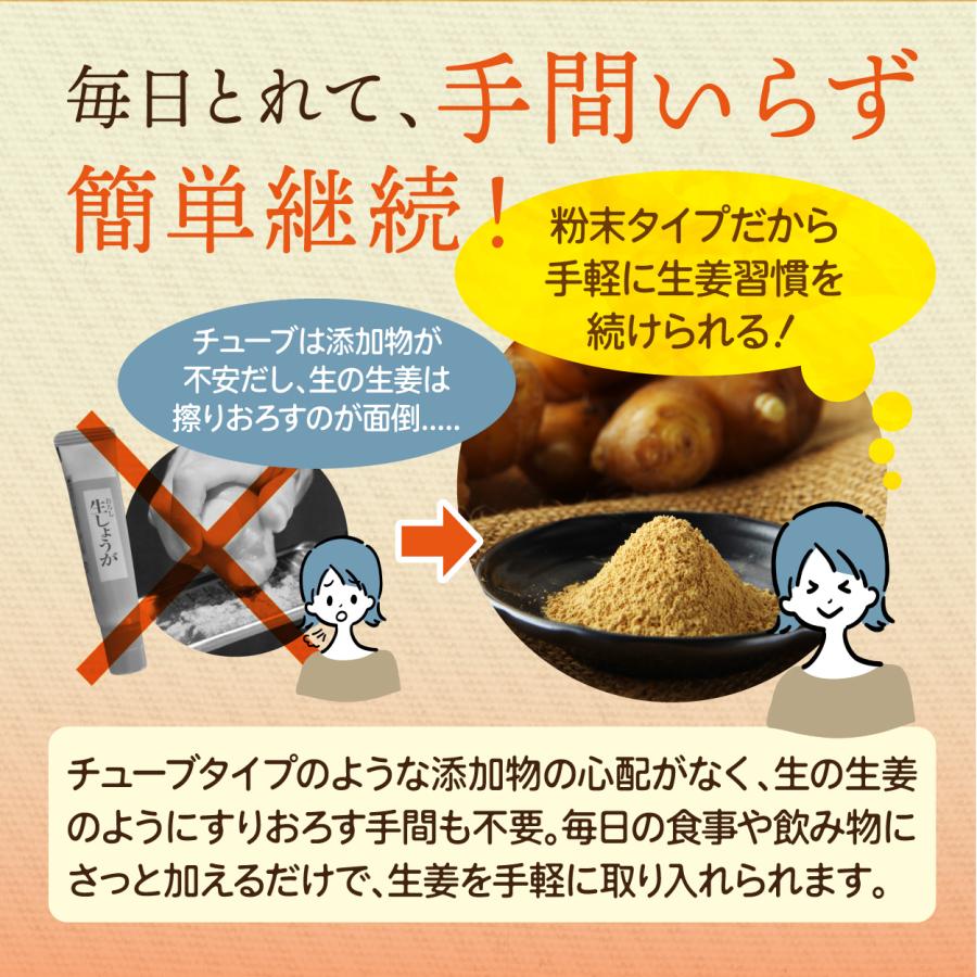 高知産黄金しょうが100% しょうが粉末 50g 送料無料 国産100％ ジンジャー パウダー 乾燥生姜 黄金生姜 坂田信夫商店 | 坂田信夫商店 | 13